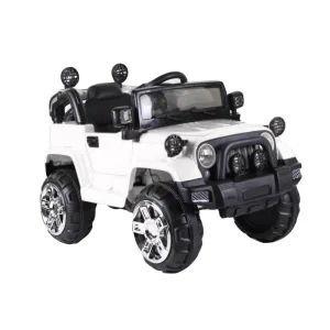 4x4 Electrique 12 Volt