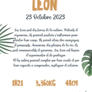 Affiche Jungle Numérique